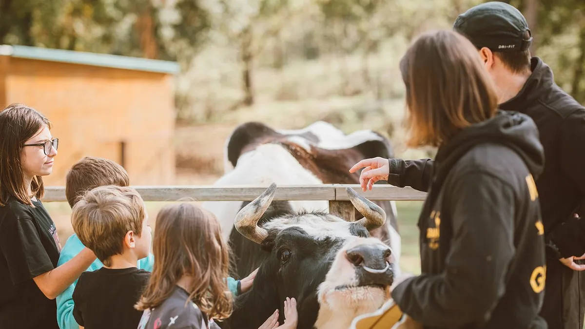 Nens i adults acariciant una vaca en una visita a la granja escola Granja Natura, prop de Barcelona