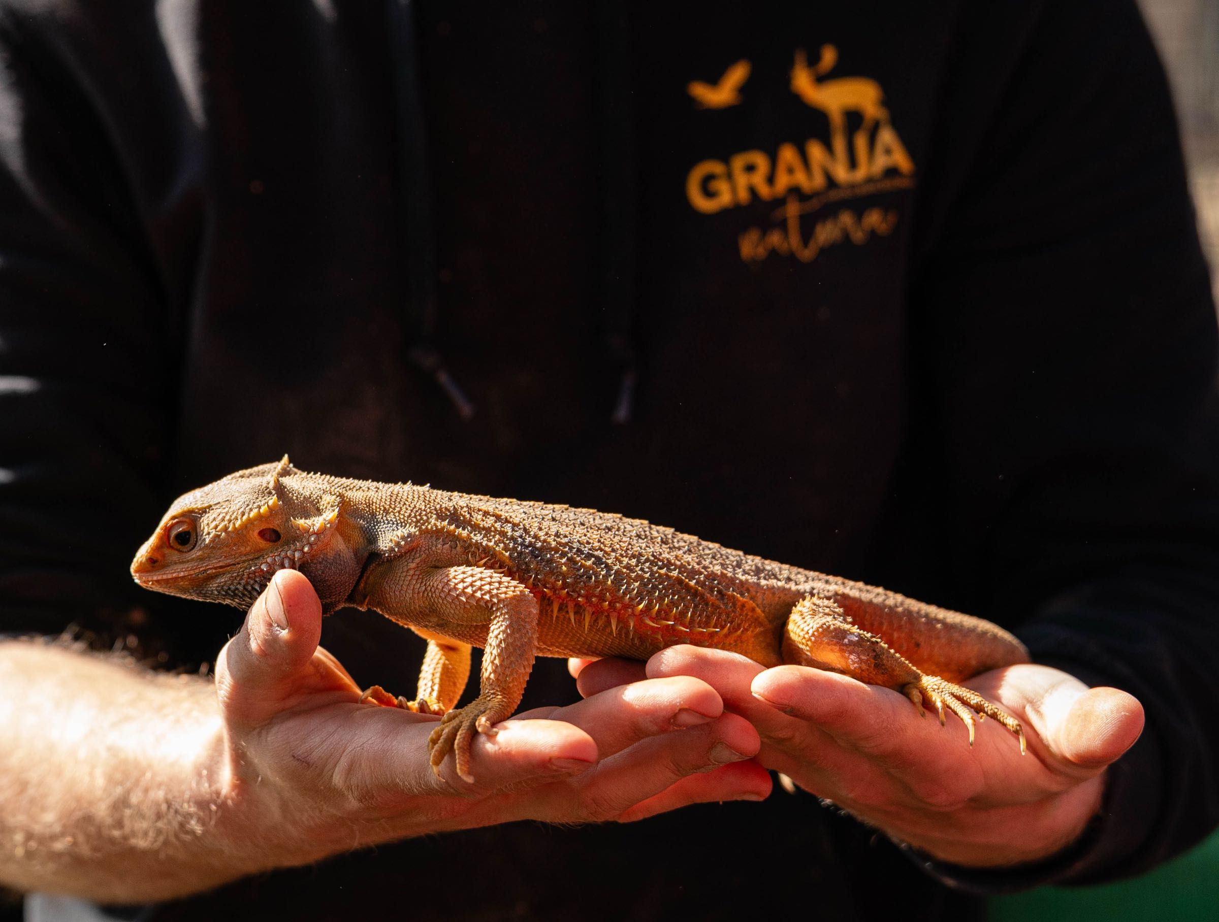 Visites per a Grups - 7