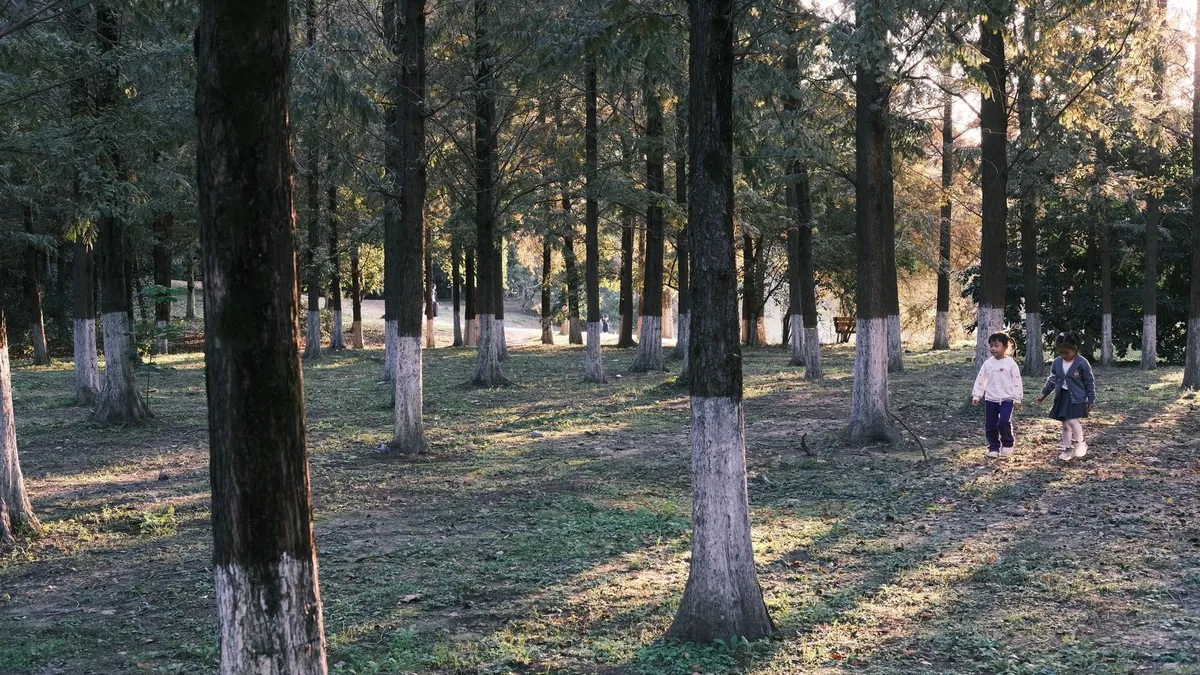 Dos nens caminant per un camí de bosc il·luminat pel sol en una excursió prop de Barcelona