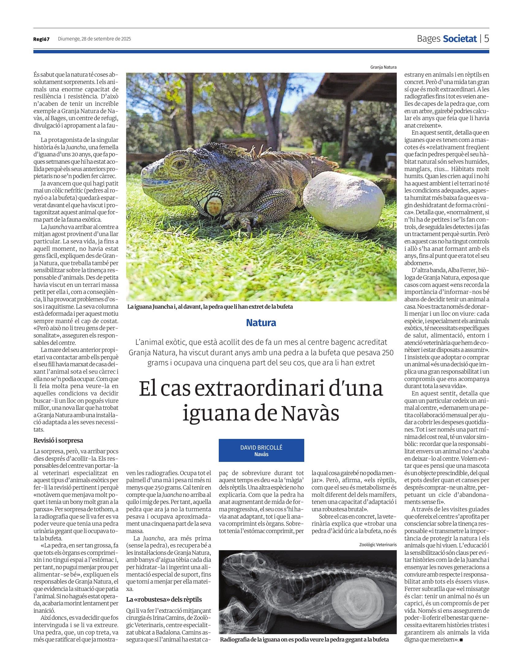 Article: El cas extraordinari de la iguana Juancha