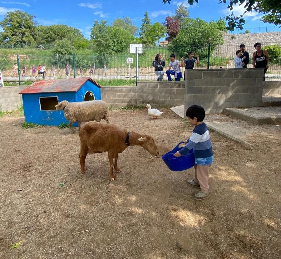 Animals de Granja