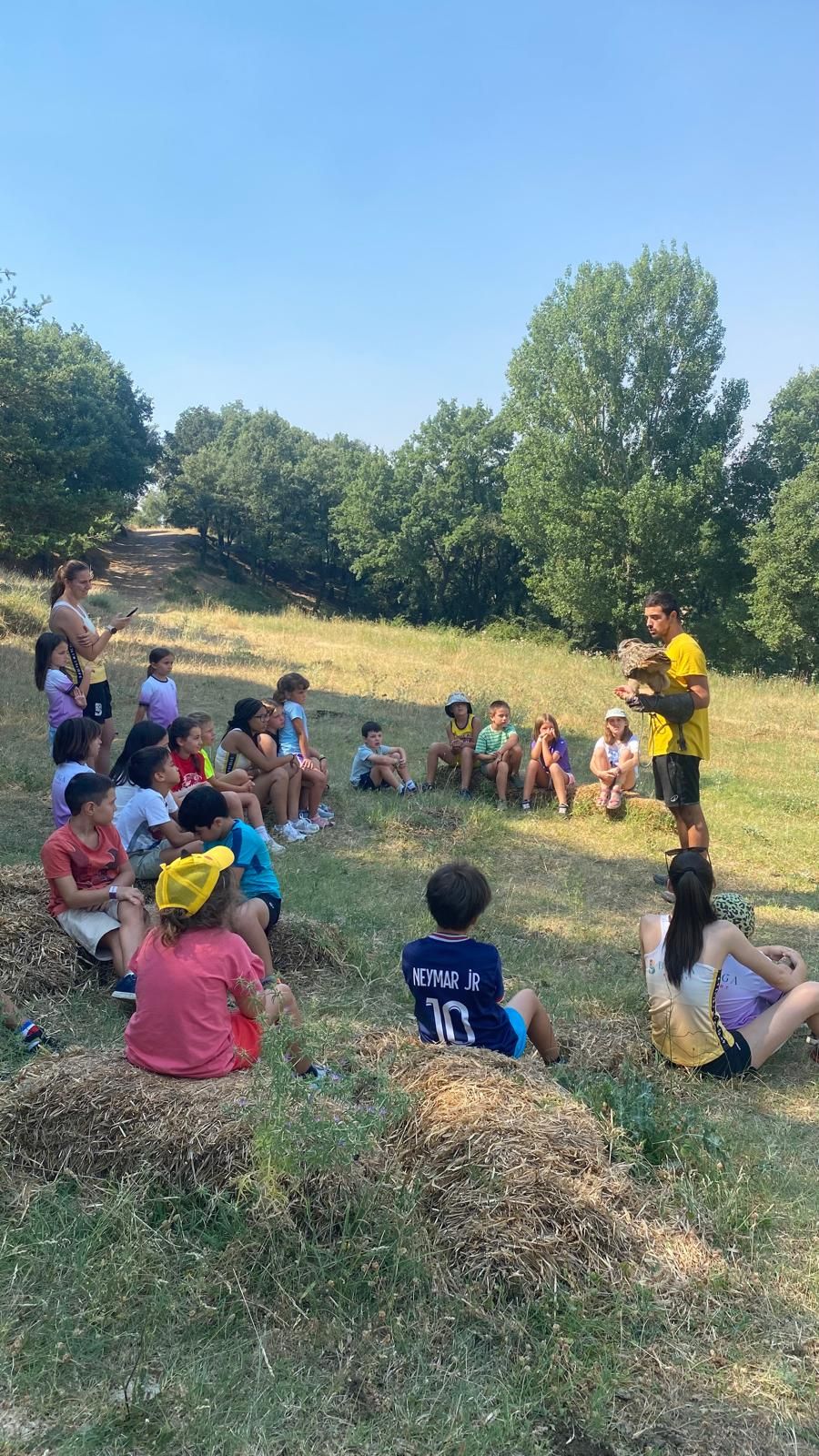 Els animals viatgers - 2