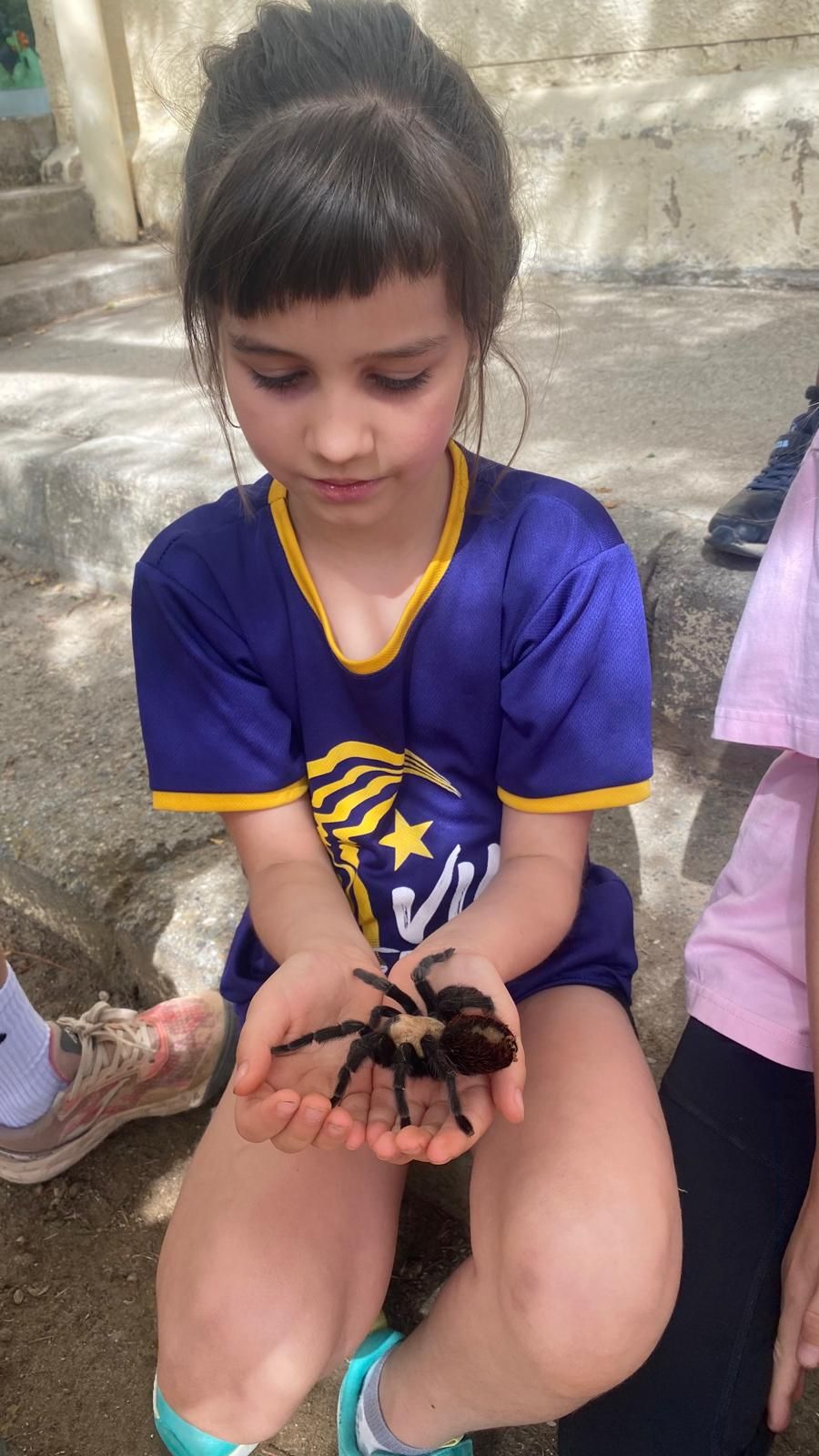 El Món dels Invertebrats