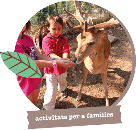 Activitats per a famílies