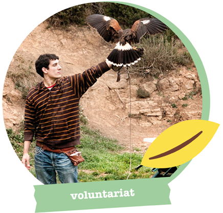 Voluntariat